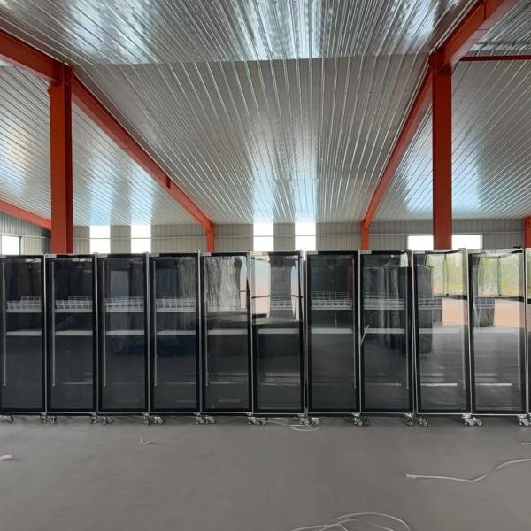 Large Batch Commercial Display Freezers Shipped to Zimbabwe with Complete CBCA Clearance Certificate